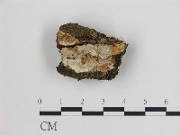 登錄號:F0003938藏品圖，第1張