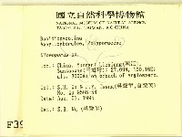 登錄號:F0003941藏品圖，第2張