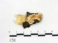登錄號:F0003941藏品圖，第1張