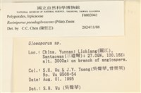 登錄號:F0003941藏品圖，第3張