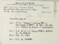 登錄號:F0003944藏品圖，第2張