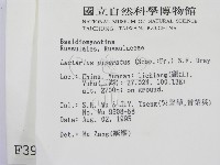 登錄號:F0003945藏品圖，第2張