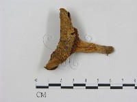 登錄號:F0003945藏品圖，第1張