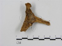 登錄號:F0003945藏品圖，第3張