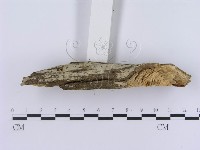 登錄號:F0003946藏品圖，第4張