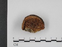 登錄號:F0003948藏品圖，第1張