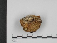 登錄號:F0003948藏品圖，第3張