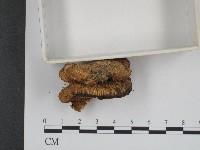 登錄號:F0003948藏品圖，第4張