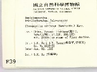 登錄號:F0003949藏品圖，第2張