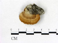 登錄號:F0003949藏品圖，第3張