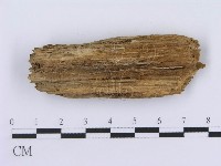 登錄號:F0003950藏品圖，第1張