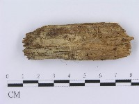 登錄號:F0003950藏品圖，第3張