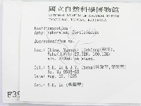 登錄號:F0003951藏品圖，第2張