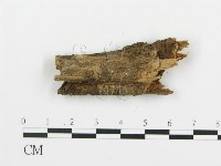 登錄號:F0003951藏品圖，第3張