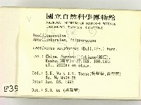 登錄號:F0003954藏品圖，第2張