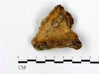 登錄號:F0003954藏品圖，第3張