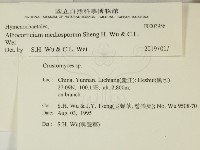 登錄號:F0003956藏品圖，第2張