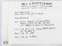 登錄號:F0003957藏品圖，第2張