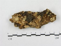 登錄號:F0003957藏品圖，第1張