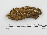 登錄號:F0003957藏品圖，第3張