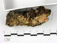 登錄號:F0003958藏品圖，第3張