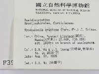 登錄號:F0003959藏品圖，第2張