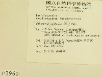 登錄號:F0003960藏品圖，第2張