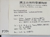 登錄號:F0003961藏品圖，第2張