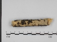 登錄號:F0003961藏品圖，第1張