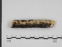 登錄號:F0003961藏品圖，第3張