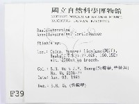 登錄號:F0003962藏品圖，第2張