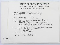 筍殼菌屬藏品圖，第2張