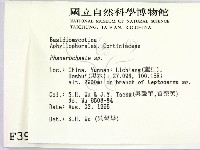 顯絲菌屬藏品圖，第2張