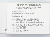 登錄號:F0003973藏品圖，第2張