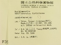 傑克菌屬藏品圖，第2張