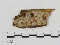 登錄號:F0003977藏品圖，第1張