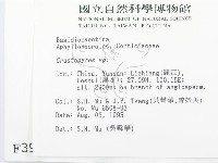 登錄號:F0003979藏品圖，第2張