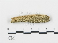 登錄號:F0003979藏品圖，第1張