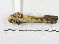 登錄號:F0003980藏品圖，第4張