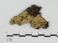 登錄號:F0003981藏品圖，第1張