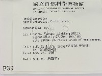 登錄號:F0003982藏品圖，第2張