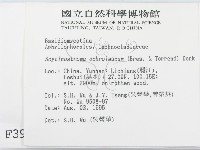 登錄號:F0003983藏品圖，第2張