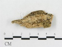 登錄號:F0003983藏品圖，第1張