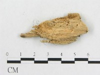 登錄號:F0003983藏品圖，第3張