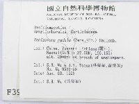 登錄號:F0003985藏品圖，第2張