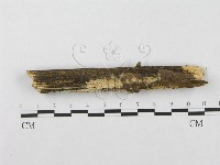 登錄號:F0003985藏品圖，第1張