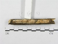 登錄號:F0003985藏品圖，第3張