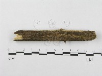 登錄號:F0003985藏品圖，第4張