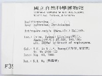 登錄號:F0003986藏品圖，第2張