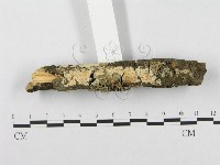 登錄號:F0003986藏品圖，第3張